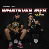 WHATEVER MFK (feat. LuizAntoni) - Single - STEEZ