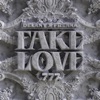 Fake Love by Delany iTunes Track 1