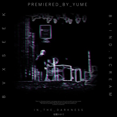 In the Darkness (feat. BVXSEEK) - Single