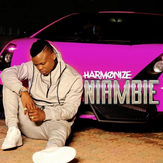 Cover artwork for Niambie