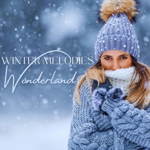 Winter Melodies Wonderland - Magic Instrumental Moods for Cold Days