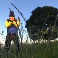 收听 Jay Midas、观看音乐视频、阅读小传、查看巡演日期等 ！