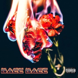 Bacc Bacc (feat. Christopher Cash) ANDI