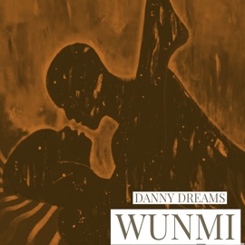 Wunmi Danny Dreams
