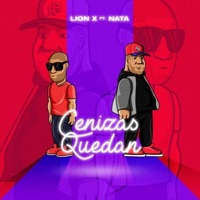 Cenizas Quedan (feat. Nata) - Single - Carlos Lion