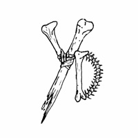 Get behind me Satan - EP - Young Death