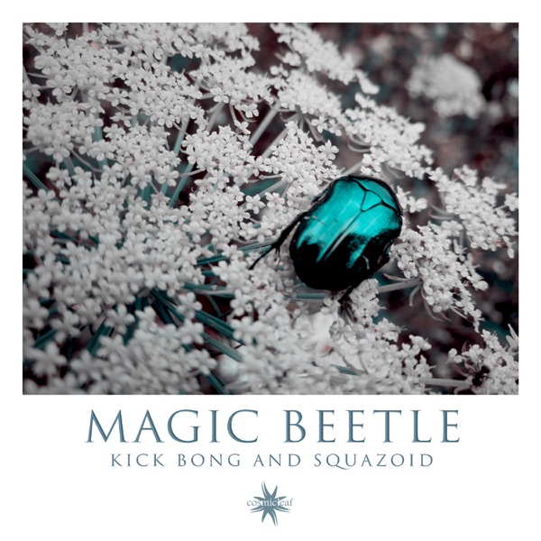 Magic Beetle - Single