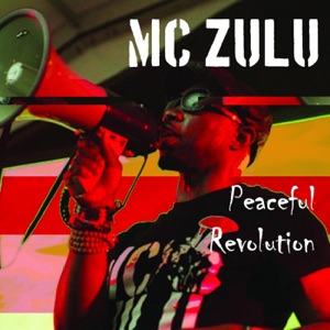 Peaceful Revolution - Single