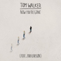 Album cover for Now You're Gone (feat. Zara Larsson) [Radio Edit] by Tom Walker