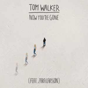 Now You're Gone (feat. Zara Larsson) [Radio Edit]