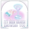 It's Been Heaven Knowing You - Single