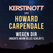 Wegen Dir (Nachts wenn alles schläft) - Kerstin Ott &amp; Howard Carpendale Cover Art