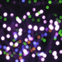 Bop - Single - aedfx