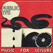 Public Eye - Lost Dog