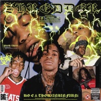 Shredder - Single - Big E & Thouxanbanfauni