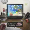 Chaleco Bomba