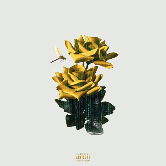 Cover artwork for Dope