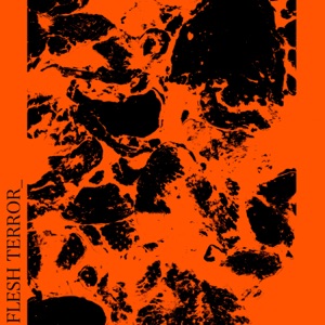 Flesh Terror_ - EP