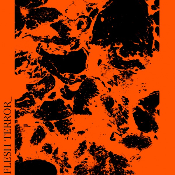 Flesh Terror_ - EP