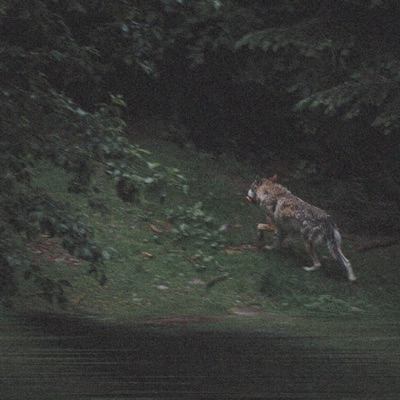 Werewolf in Portland - EP