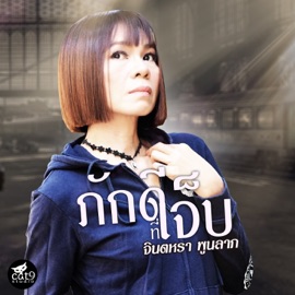 ภักดีที่เจ็บ จินตหรา พูนลาภ