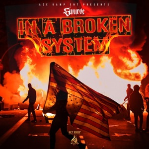 In a Broken System