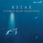 RELAX: A Liquid Mind Experience artwork