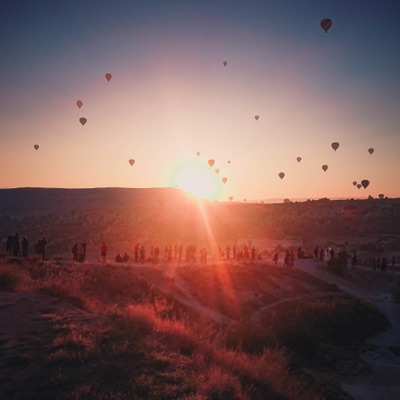 Инстинкт свободы - Single