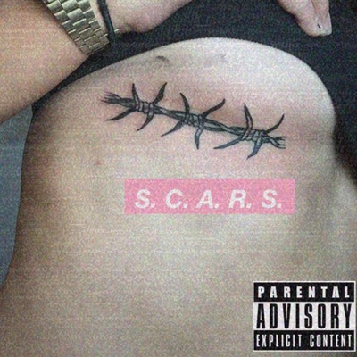 Scars (feat. Sad Lover) - Single