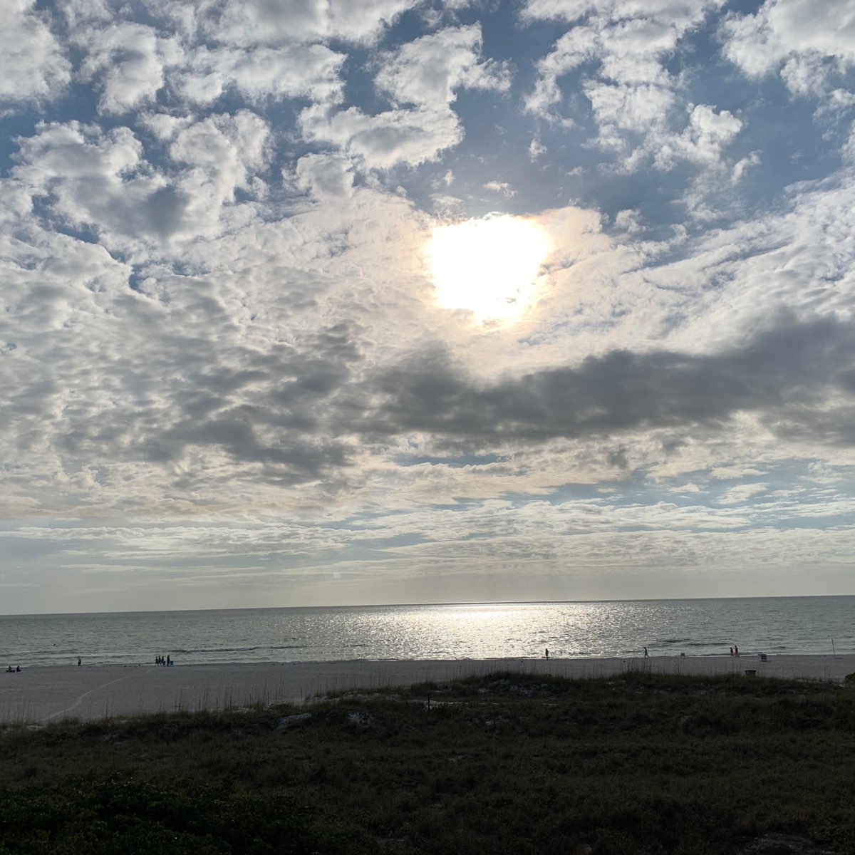 ‎WhiteCollar Single Album by RAYN3.SZN Apple Music