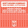 What You Need (Micky More & Andy Tee Mix) cover art