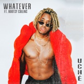 Whatever (feat. Bootsy Collins) artwork