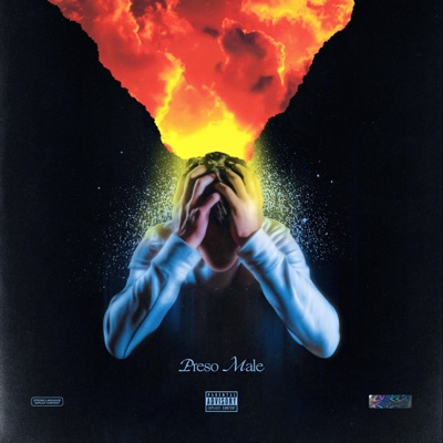 Preso Male (feat. Copp1 E Pierdelabier) - Single