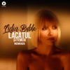 Lacătul Și Femeia (Remixes) - Single