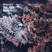 Benoit Pioulard - Raze II (feat. Caroline Shaw)