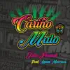 Julie Freundt - Cariño Malo