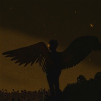 Seeing Stars - Single - Noah Kenton