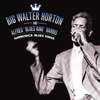 Harmonica Blues Kings - Big Walter Horton & Alfred "Blues King" Harris