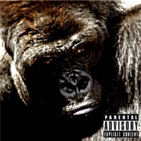 Raw Cookie - Single - Sincere