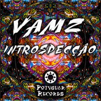 Introspecção - Single - Vamz