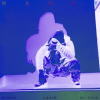 Nasty (feat. Lesik & el Tilo) - Single - Risho