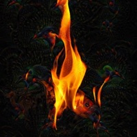 Midnight - Single - ALL Cut Nate