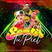 Sentir tu piel (feat. Elemental raggamuffin & Belyko) - Single - Eckes