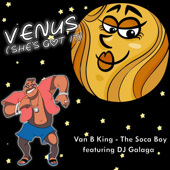 Venus (She's Got It) (Feat. DJ Galaga) - Van B King - The Soca Boy