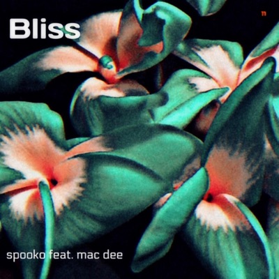 Bliss (feat. Mac Dee) - Single