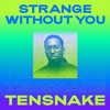 Tensnake - Strange Without You (feat. Daramola)
