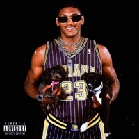Ron Artest - Single - Sitystar Jay