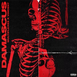 Damascus Multiplexes