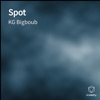 Spot