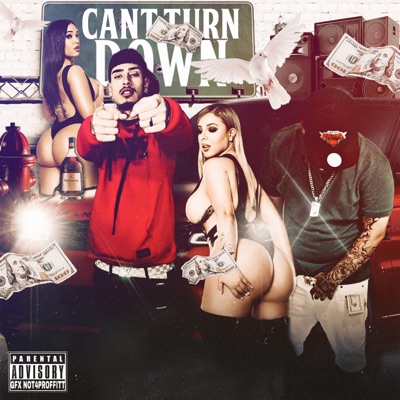 CANT TURN DOWN (feat. LIL DUBB) - Single